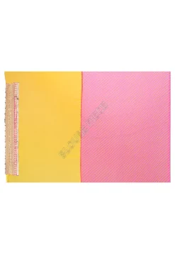 Half N Half Georgette Saree in Pink and Yellow