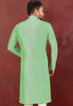 Hand Embroidered Art Silk Kurta in Pastel green