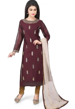 Hand Embroidered Chanderi Cotton Straight Suit in Brown