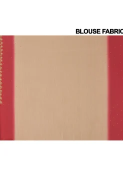 Hand Embroidered Chiffon Saree in Beige