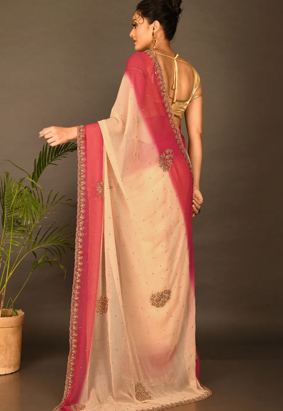 Hand Embroidered Chiffon Saree in Beige