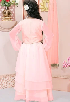 Hand Embroidered Georgette Lehenga in Peach