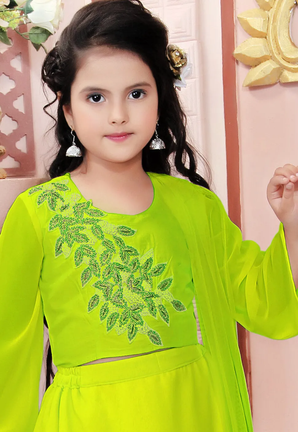Hand Embroidered Georgette Lehenga in Light Green