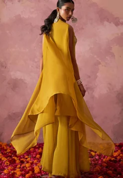 Hand Embroidered Georgette Crop Top Set in Mustard