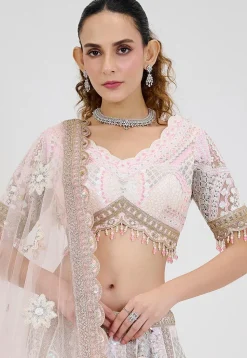 Hand Embroidered Net Lehenga in Off White
