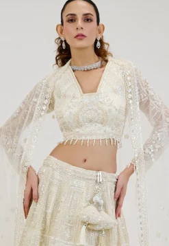 Hand Embroidered Net Lehenga in Off White