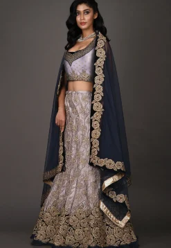 Hand Embroidered Net Lehenga in Grey