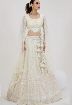 Hand Embroidered Net Lehenga in Off White