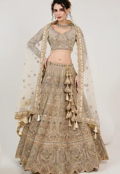 Hand Embroidered Net Lehenga in Beige