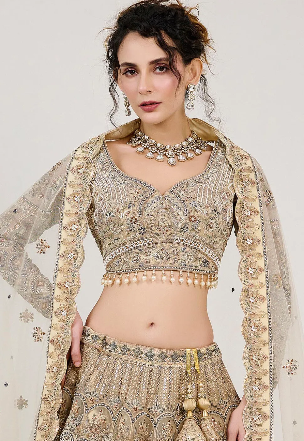 Hand Embroidered Net Lehenga in Beige