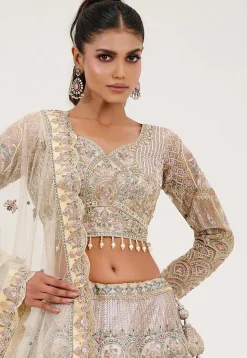 Hand Embroidered Net Lehenga in Off White