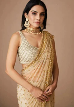 Hand Embroidered Net Saree in Dark Beige