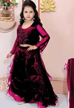 Hand Embroidered Organza Lehenga in Maroon