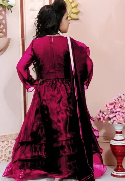 Hand Embroidered Organza Lehenga in Maroon