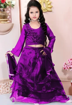 Hand Embroidered Organza Lehenga in Purple