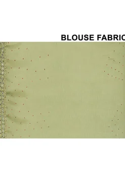 Hand Embroidered Organza Saree in Dusty Green