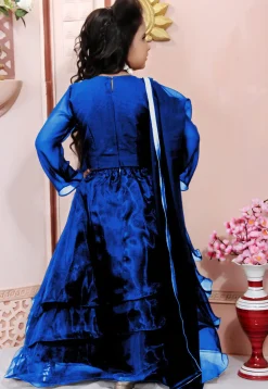 Hand Embroidered Organza Lehenga in Blue