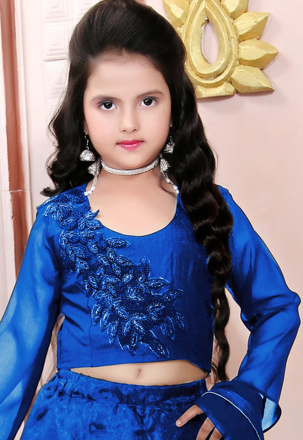 Hand Embroidered Organza Lehenga in Blue