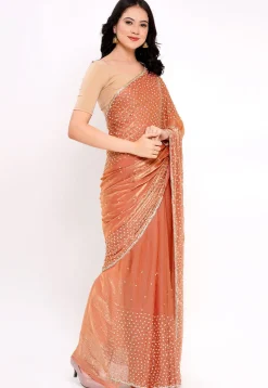 Hand Embroidered Tissue Silk Saree in Pastel Orange