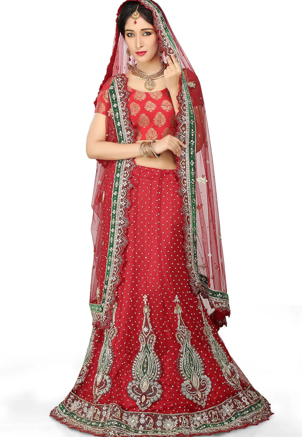 Hand Embroidered Velvet Lehenga in Red
