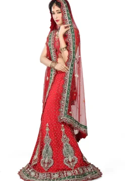 Hand Embroidered Velvet Lehenga in Red