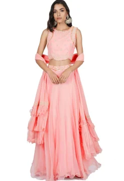 Hand Embroidered Viscose Georgette Lehenga in Baby Pink