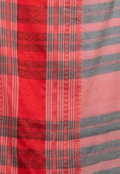 Handloom Cotton Saree in Grey