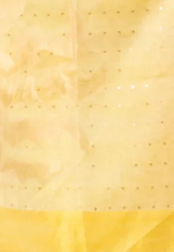 Handloom Jamdani Pure Matka Silk Saree in Light Yellow