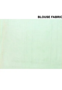 Handloom Linen Silk Saree in Light Green