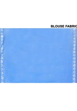 Handloom Tissue Silk Saree in Blue