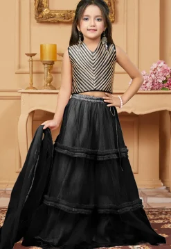 Lace Border Net Lehenga in Black