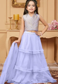 Lace Border Net Lehenga in Light Purple