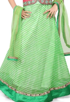 Leheriya Georgette Skirt in Light Green