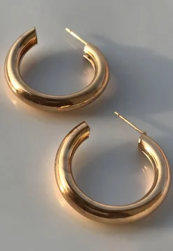 Metallic Hoops Earring