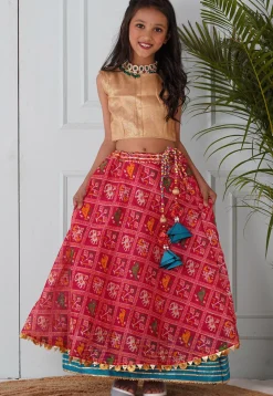 Patola Printed Kota Silk Lehenga in Pink