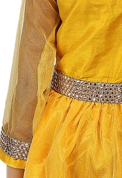 Plain Net Gown in Yellow