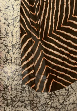 Printed Chiffon Saree in Brown