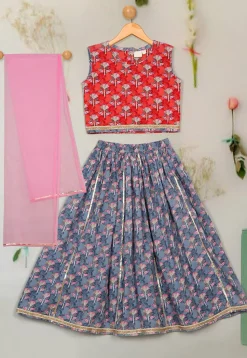 Printed Cotton Lehenga in Grey
