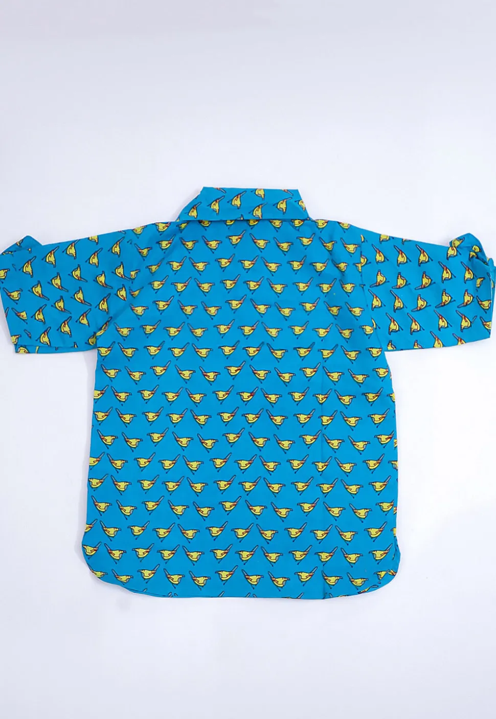 Printed Pure Cotton Kurta Set in Teal Blue