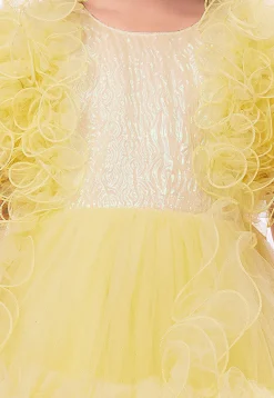 Ruffled Net Gown in Yellow