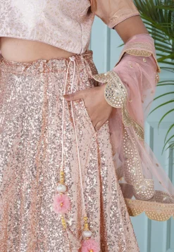 Sequinned Georgette Lehenga in Peach