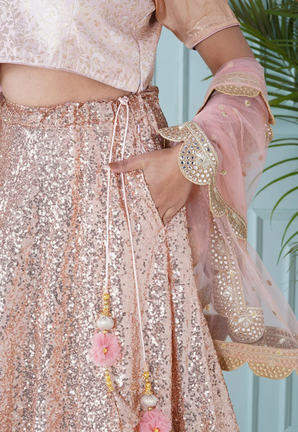 Sequinned Georgette Lehenga in Peach