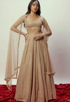 Sequinned Georgette Lehenga in Beige