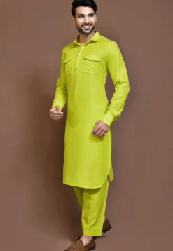 Solid Color Cotton Slub Paithani Suit in Light Green