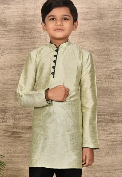 Solid Color Dupion Silk Kurta in Pastel Green