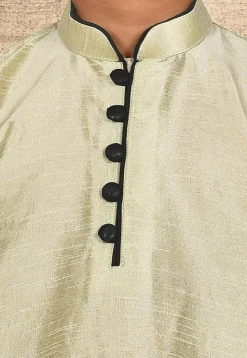 Solid Color Dupion Silk Kurta in Pastel Green