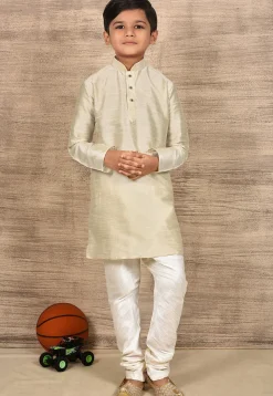 Solid Color Dupion Silk Kurta in Light Beige