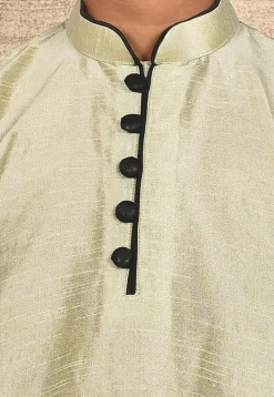 Solid Color Dupion Silk Kurta Set in Pastel Green