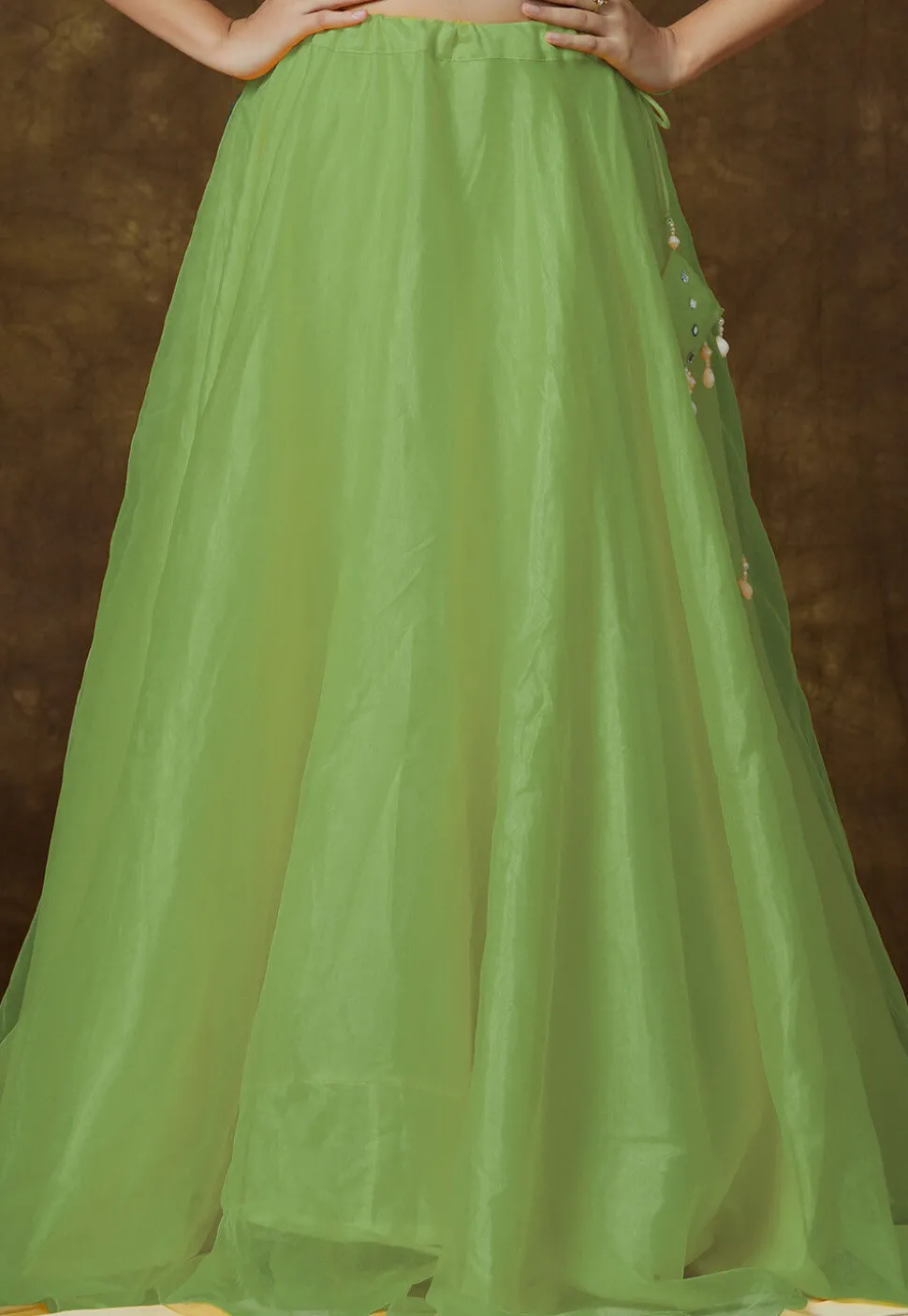 Solid Color Organza Skirt in Green