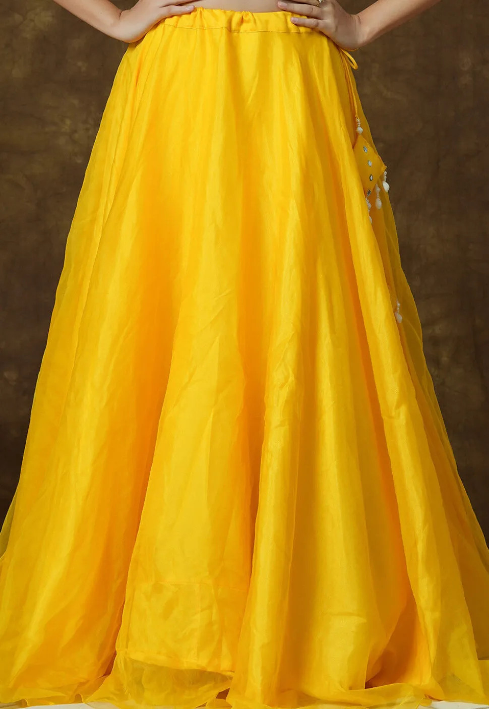 Solid Color Organza Skirt in Yellow